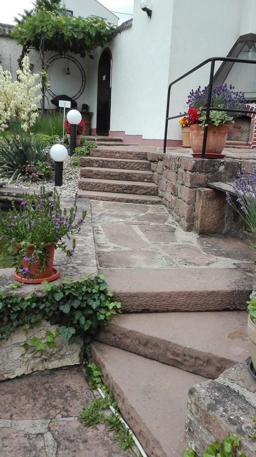 Ferienwohnung Belle Vue Bernkastel-Kues Exteriér fotografie